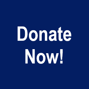 Donate Now Logo